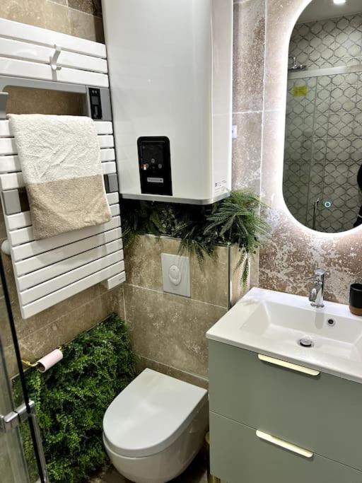 Studio 2 Neuf A 100M Des Plages Et De La Gare Saint-Raphaël Exteriör bild